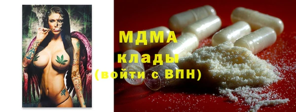 дживик Богородицк