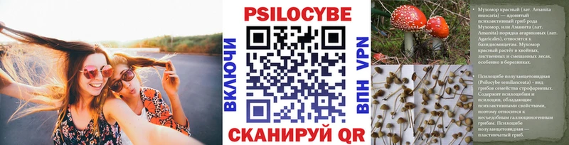 цены   shop состав  Псилоцибиновые грибы Cubensis  Нелидово 
